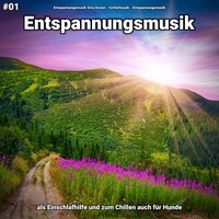 Entspannungsmusik pt. 35 - Entspannungsmusik Sina Donen & Schlafmusik & Entspannungsmusik