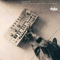 Acid Kitten - Juliane Wolf & Jacob Seville