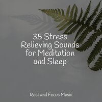 Zen Garden Path - Sleeping Music & White Noise for Babies & Relaxation Music Guru