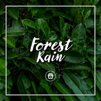 Weekend Plans - Rain Sounds