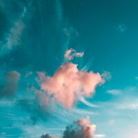 Up Early - Adonis