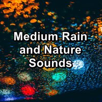 White Noise Rain in the Rainy Forest For Babies to Relax and Rest - ASMR & White Noise Baby Sleep & Deep Sleep Meditation