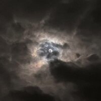 Moon - Buckshot
