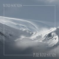 Take a Deep Breath - Wind Sounds