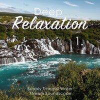 Bubbly Tranquil Water Stream Soundscape, Pt. 19 - Bryan Maxwell
