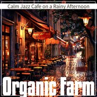 Rainy Boulevard Siesta - Organic Farm