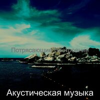 Магазины - Акустическая музыка