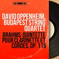 Clarinet Quintet in B Minor, Op. 115: I. Allegro - David Oppenheim & Иоганнес Брамс