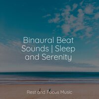 Calming Mood - Avslappning Sound & Relaxing Spa Music & Kings of Nature