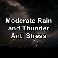 Cozy Rain and Thunder in the Rainy Forest To Sleep with for 8 Hours - Relax & ASMR SLEEP & Atmosphere ASMR