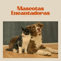 Deep Blue Disguise - Mascotas tranquilas