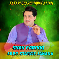 Da Speen Makh Pa Nimai Kakari Tapay - shah farooq