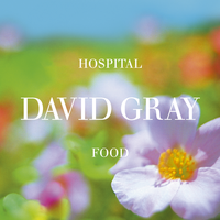 Hospital Food - David Gray