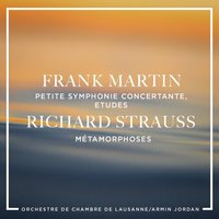 Etudes pour orchestre à cordes: IV. Troisième étude pour l'expression et le sostenuto. Molto adagio - Armin Jordan & Orchestre De Chambre De Lausanne