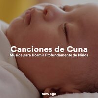 Gaviotas - Canciones de Cuna