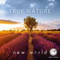 True Nature - New World