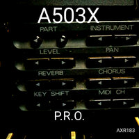 P.R.O. - A503X