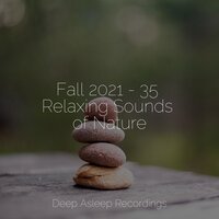 Lunar Shadows - Studying Music & Massagem & Yoga Namaste