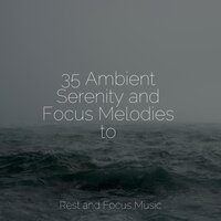 Calm Waters - Study Zone & Calm shores & Best Relaxing Spa Music