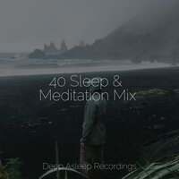 Laid-back - Yoga Music & The Rainforest Collective & Weather Factory