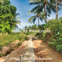 Backdrop for Summertime - Vibraphone - Coffee Shop Music Supreme