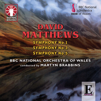 Symphony No.5 Op.78a: I. Allegro Energico - The BBC National Orchestra Of Wales