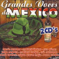 Mi Chorro De Voz - Miguel Aceves Mejia