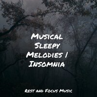 Morning Mist - Guided Meditation & Asian Zen: Spa Music Meditation & Deep Sleep Systems