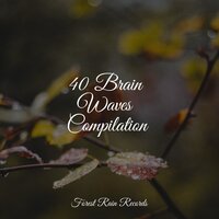 Creek, Waterflow, Stream - Ambient Nature White Noise & Calm Down & Lullabies for Deep Meditation