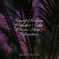 Peaceful River Waters - Zen Meditate & Yoga & Smart Baby Lullaby