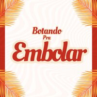 Botando pra Embolar - DJ CH PROD & MC Negritin