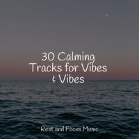 Singing Waves - Pet Care Music Therapy & Trouble Sleeping Music Universe & Musica Para Dormir y Sonidos de la Naturaleza