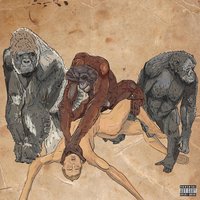 Havana Banana - Too Many Zooz