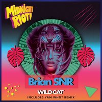 Flashback - Brian SNR