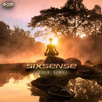 Liquid Sense - Sixsense & Frisky