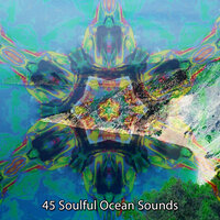 Waves Of The Ocean - Winds and Oceans