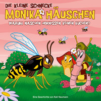 Warum naschen Hornissen keinen Kuchen? - Teil 13 - Die kleine Schnecke Monika Häuschen