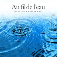 Mon ruisseau - La nature