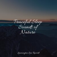 Heavling Waves - Saludo al Sol Sonido Relajante & Calming Sounds & The Rain Library