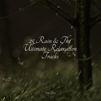 Trickling Flows - Soothing Chill Out For Insomnia & Rain Hard & Meditative Music Guru