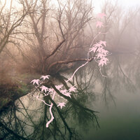 A Path Will Rise - Saso & Francesco Turrisi