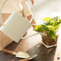 Watering on monday - BGM Teacher