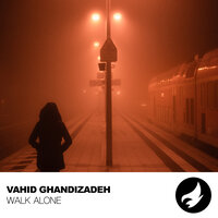 Walk Alone - Vahid GhandiZadeh