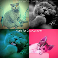 Delightful (Music) - Music for Cats Curation