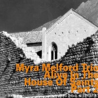 Now & Now 2 - Myra Melford & Lindsey Horner & Reggie Nicholson & Myra Melford Trio