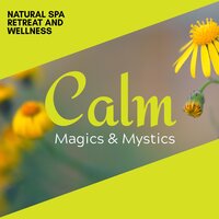 Slow We Cure - Spa Music Relaxation & Gold Spa Melodies