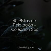 Manta Y Confort - Relajante & Musica Para Meditar y Relajarse & Piano para Dormir