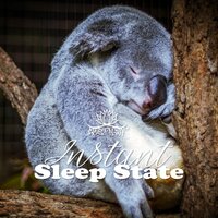Elixir of Dreams - Meditation Music Zone