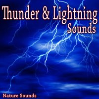 Heavy Rain and Thunder from Under Roofed in Porch - Nature Soundscape