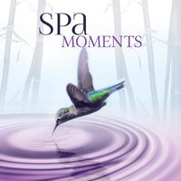 Lullaby Music - Serenity Spa Music Zone